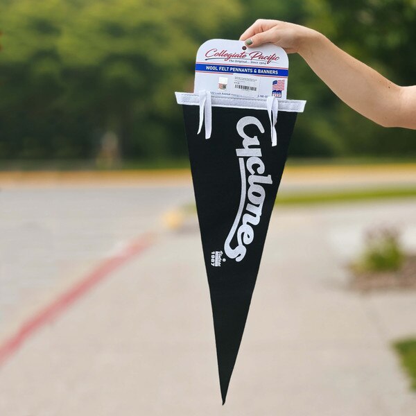 Cyclones Script Arch Black & White Pennant (9"x24")